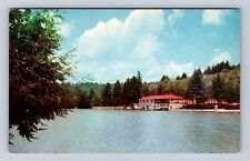 Beckley WV-West Virginia, Little Beaver Park, Antique, Vintage Souvenir Postcard picture