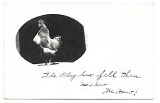 Photo Of A Chicken With Funny Text, Wilmington Vermont, Antique RPPC Postcard picture