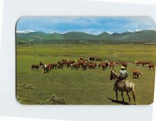 Postcard Cowboy watching herd of cattle on a mountain meadow picture