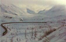 Alaska Railroad Mile Post 83 Northbound Freight Train Anchorage Postcard picture