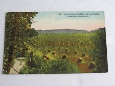 G445 Vintage Postcard Our Farmers Golden Harvest Fields  picture