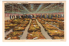 Linen Postcard: Tobacco Sale; Bundles tagged; some hands are reddish-brown picture
