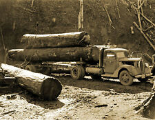 1941 Loading Logs Onto a Truck, Oregon Vintage Old Photo 8.5