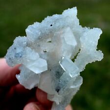 clear Apophyllite on drusy Quartz, minerals, crystals, mineral specimens picture