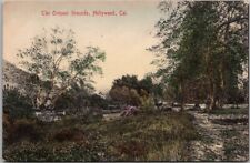 c1910s HOLLYWOOD, California Hand-Colored Postcard 