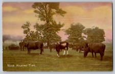 1910s Dairy Cows Field Milking Time Vtg Antique Postcard Weekly Tale Teller picture