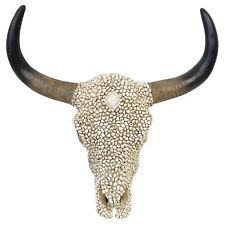 Southwestern White Pebble Longhorn Bull Cow Steer Skull with Golden Horn Acce... picture