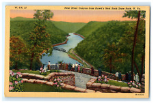 Postcard WV Hawk's Nest Rock State Park New River Canyon View Sightseers Linen picture