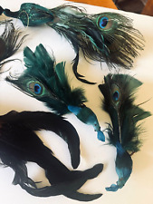 Mixed Lot 8 Feathered Bird Ornaments 6-15 inch Ostrich Eyes w/ Clips Wires picture