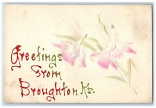 c1910 Greetings From Broughton Kansas Flower Embossed Glitter Vintage Postcard picture