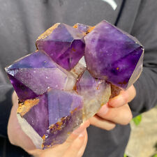 1.6lb Natural Amethyst Geode Cluster Quartz CRYSTAL Uruguay Cathedral picture