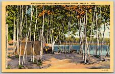 Tupper Lake New York 1940 Postcard White Birches State Camping Grounds picture