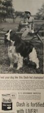1954 Dash Armour Dog Food Springer Spaniel Woman Hold Rifle Cute Pet Print Ad  picture