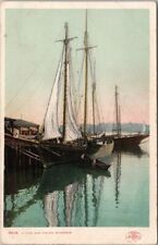 Vintage 1905 Massachusetts Postcard 