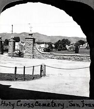 c.1900 SAN FRANCISCO/COLMA HOLY CROSS CATHOLIC CEMETERY ENTRY & GROUNDS~NEGATIVE picture