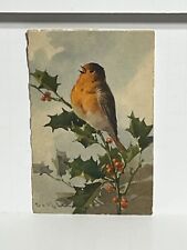 Postcard Bird and Holly Signed by Artist C. Klein A60 picture