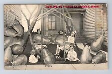 Granby MA-Massachusetts, Children With Giant Pears, Vintage c1912 Postcard picture