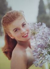 Rare Vintage Color 8x10 Photo ANN-MARGRET Stunning Sexy Swedish Actress picture