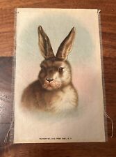 Vintage 1912 Tobacco Silks - Domestic Animals - Large - Rabbit Bunny picture