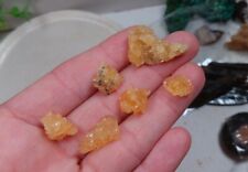 Rare Golden Selenite Rose Crystal Cluster Small Pieces Peru 6g Lot Eq picture