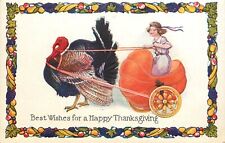 Thanksgiving Postcard T6 Turkey Pulls Girl in Pumpkin Chariot Fruit Border picture