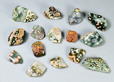 15pcs Amazing Ocean Jasper Crystal Agate Round Pendant Jasper Reiki Stone picture