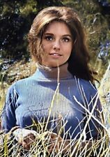 “DAWN WELLS” Maryanne “Gilligans Island” Starlet 5X7 Color Glossy “SWEETHEART”💋 picture
