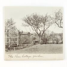 New York Rose Cottage Photo c1898 Flower Garden Guest House Floral Art NY B1583 picture