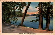 PEACEFUL SCENE LAKE SPOONER WISCONSIN ADDRESS POSTAGE PICNIC BURT WILD  Postcard picture