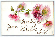 1907 Greetings from Hector New York NY Pink Floral Embossed Postcard picture