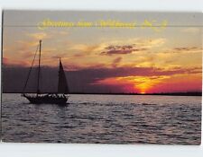 Postcard Greetings from Wildwood New Jersey USA picture