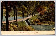 Scene, Vail Cemetery Schenectady NY — Antique Postcard c. 1909 picture