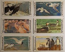 Stollwerck Chocolate Group 21 Trade Card Set Of 6 Birds picture