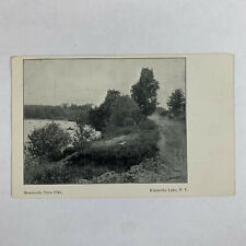 Postcard New York Kiamesha Lake NY Monticello Turn Pike Pre-1907 Unposted  picture