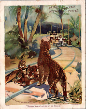 NA-060  McLaughlin's Coffee Indian Surveying Leopards Cats Victorian Trade Card picture