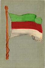 PC CPA ITALY, POLITICAL PROPAGANDA, FLAG, Vintage Postcard (b17820) picture