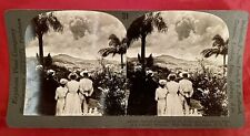 Keystone 14355 Natives Fascinated Volcanic Eruption Martinique Stereoview 09 #31 picture