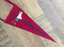 Classy  VINTAGE  20's    WAYNESBURG  PENNANT picture