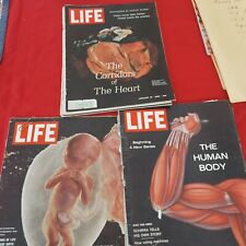 Vintage Life Magazine Select Pages From 3 Issues 1962-68 Related to HUMAN BODY picture