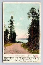 Mackinac Island MI-Michigan, Winding Road, Lake Huron, Vintage Postcard picture