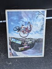 Vintage 80's 90's Vert BMX Freestyle Mongoose Bicycle Poster Print Haro Odyssey picture