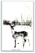 c1950's Deer Scene Winter Snow Harrison Michigan MI RPPC Photo Vintage Postcard picture