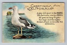 CA-California, Greetings, Funny Story, Seagulls, c1920, Vintage Postcard picture