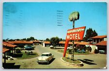 Modesto CA~Sea Breeze Motel~Close Up Palm Tree Neon Sign~1953 Lincoln Car~1955 picture