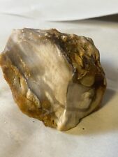petrified wood 9oz rough agatized opalized special chalcedony agate collection picture