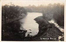 F61/ Linndale Cleveland Ohio RPPC Postcard c1910 Rvaine View picture