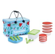Tupperware New Host Exclusive Collection Summer Picnic Basket Set & Bowls Plates picture