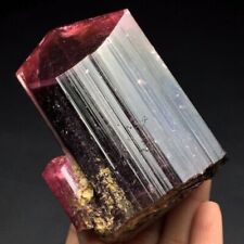 269g Rare Extremely Gorgeous Watermelon Green/Pink Tourmaline Gem,Pakistan picture