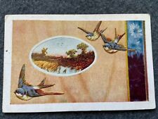 1913, Birds in Flight Vintage Postcard picture