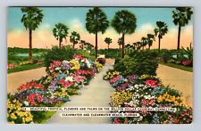 Clearwater Beach FL-Florida, Tropical Flowers & Palms, Antique Vintage Postcard picture